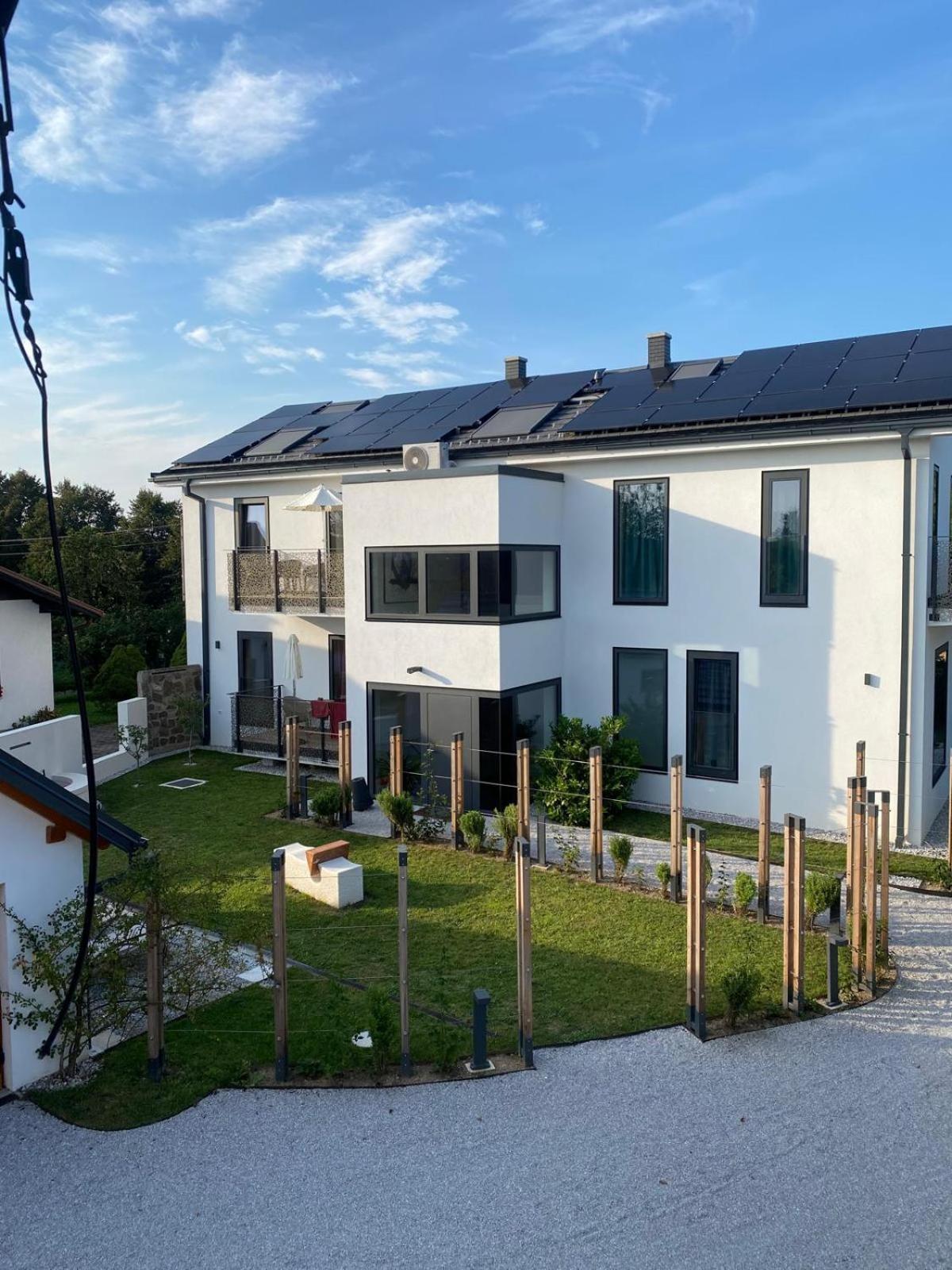 Starše Villa Boris מראה חיצוני תמונה